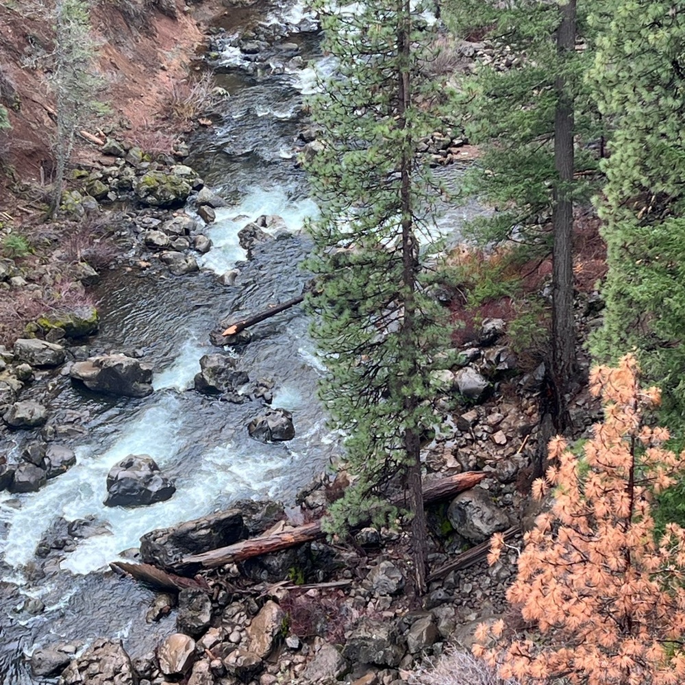 Scenic Forest River Landscape